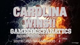 auburn-vs-south-carolina1SMALL.jpg