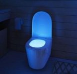 Portal Potty.jpg