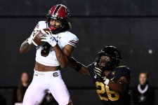 Gamecocks fall to Georgia, 24-14, in SEC Opener
