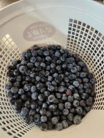 blueberries.jpg