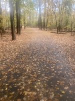 IMG_1281.jpeg IMG_1281.jpeg