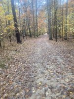 IMG_1275.jpeg IMG_1275.jpeg