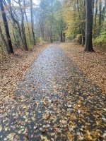 IMG_1265.jpeg IMG_1265.jpeg